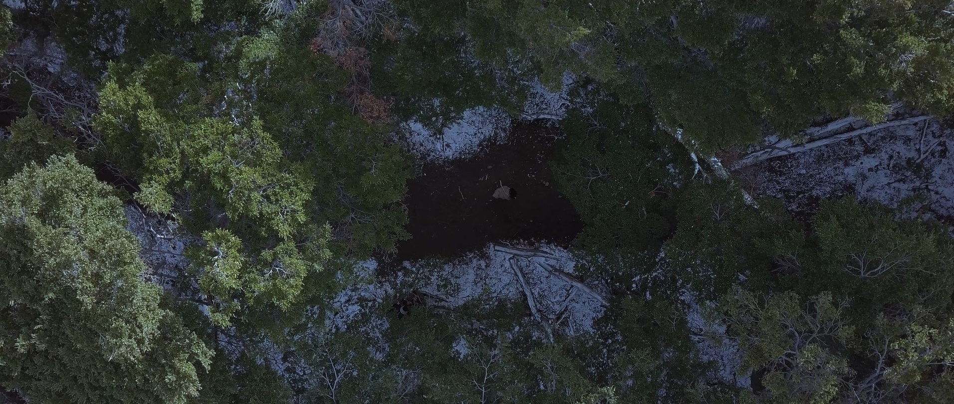Plano cenital con drone de un claro en el bosque nevado